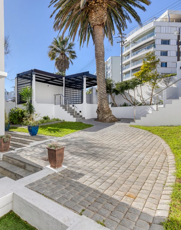 The garden path under the palm